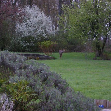 Les Sapins Hotel Vitry-aux-Loges Luaran gambar