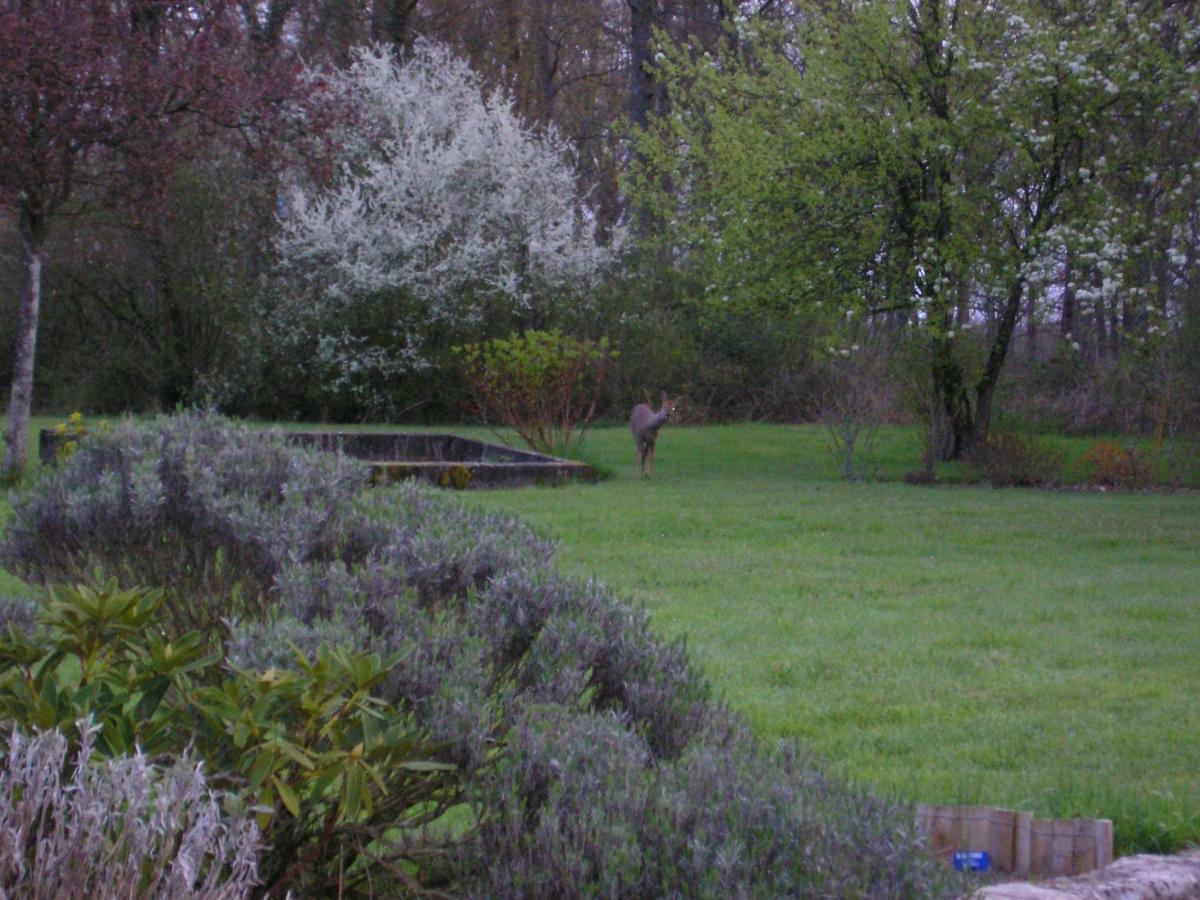 Les Sapins Hotel Vitry-aux-Loges Luaran gambar